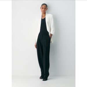 Aritzia Babaton Power Blazer in Mirror Crepe Size 6